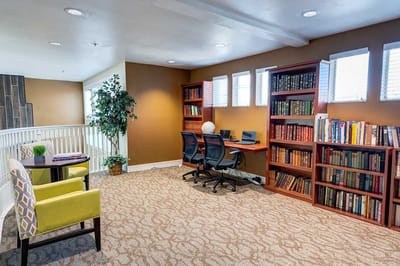 Cozy reading area with bookshelves and workstations