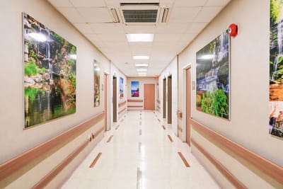 Bright, spacious hallway with nature-themed artwork