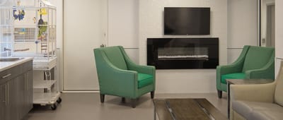 Interior common area with green chairs and a TV