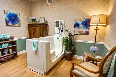 Stylish bathroom with a therapeutic tub and decorations