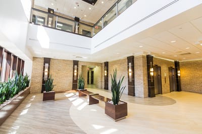 Bright and modern interior lobby space with plants