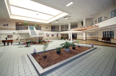 Spacious interior common area with plants and natural light