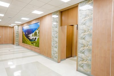Hallway with decorative wall panel and landscape image