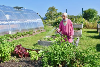Resident tending to a garden in an outdoor space