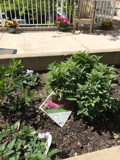 Flower garden with seating area and signage
