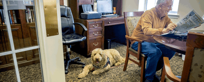 Resident reading a newspaper with a dog in a cozy room