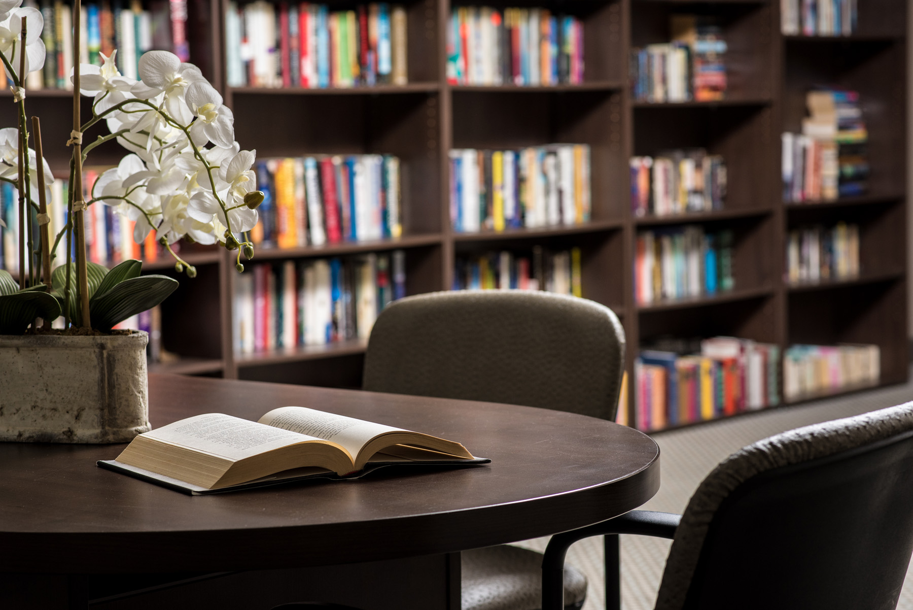 Cozy reading area with bookshelves and an open book
