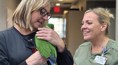 Staff members interacting with a parakeet in a lively atmosphere