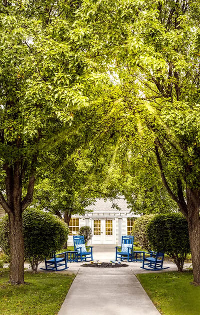 Pathway through trees leading to seating area