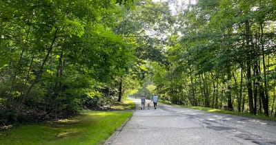 People walking down a scenic path surrounded by trees
