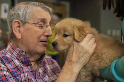 An elderly man interacting with a puppy in a warm setting