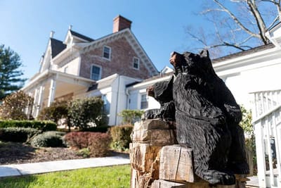 Outdoor view of a carved bear sculpture in front of the facility