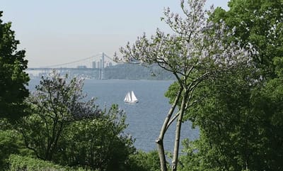 View of a lake with a sailboat and trees