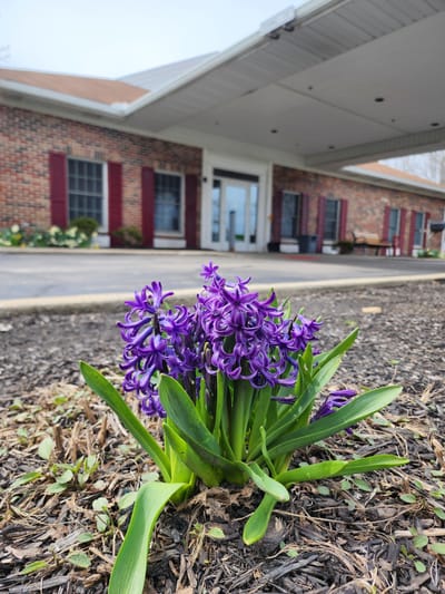 Purple flowers in front of a senior living facility entrance
