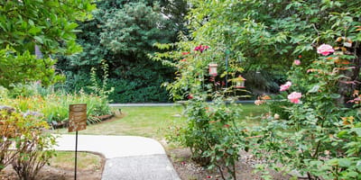 Pathway through a garden with flowers and greenery
