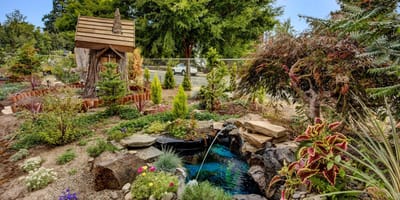 A serene outdoor garden with a small waterfall
