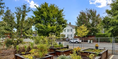Garden area with raised planters and trees