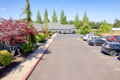 Parking lot with trees and buildings in the background