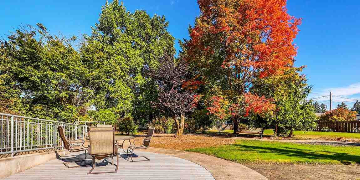 Outdoor seating area with colorful trees in a park-like setting