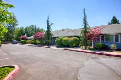 Entrance view of a landscaped outdoor space