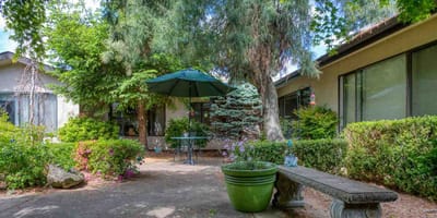 Outdoor space with seating and greenery