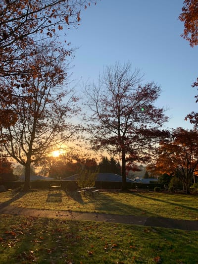 Sunrise over a serene outdoor space with trees