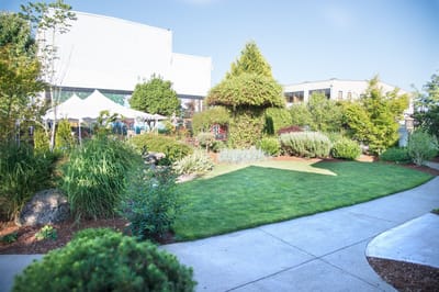 Beautiful garden area with walking paths and greenery