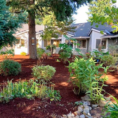Beautiful outdoor garden space with landscaping