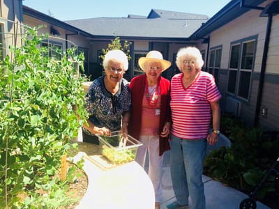 Three residents enjoying gardening in an outdoor area