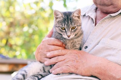 Elderly man holding a cat in an outdoor setting