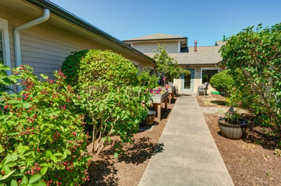 Pathway through a well-maintained garden area