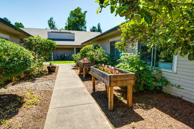 Pathway through a garden area with planters