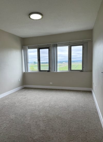 A bright empty room with window views
