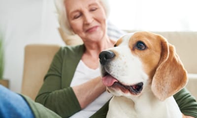 Senior woman enjoying time with a dog indoors