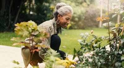 Senior woman gardening in a sunny outdoor space
