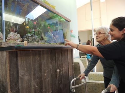 Residents enjoying an aquarium in a bright lounge area