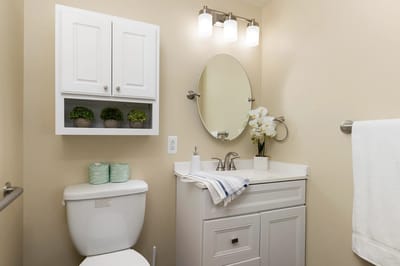 Modern bathroom with elegant decor and plants