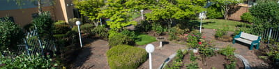 Lush garden area with pathways and seating