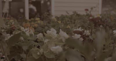 Lush flower garden in front of a facility