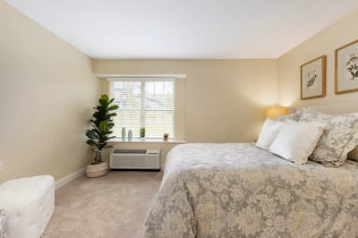 Cozy private room with a bed and decorative plants