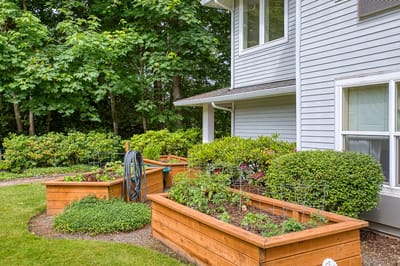 Raised garden beds beside a residential building
