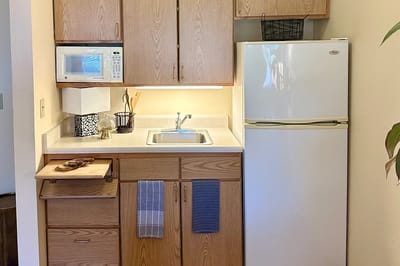 Well-equipped kitchenette in an assisted living unit