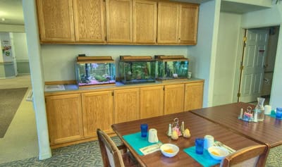 Dining area with fish tanks and table settings