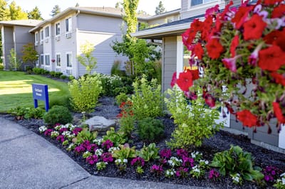 Outdoor view of landscaped area in front of the facility