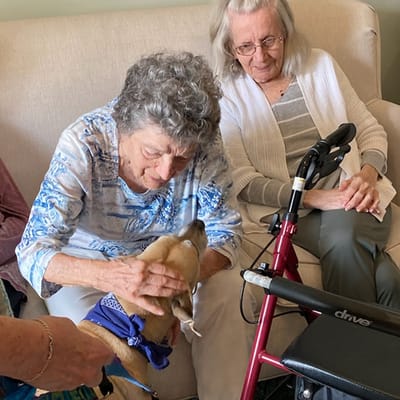 Residents interacting with a therapy dog in a cozy common area