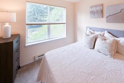 Cozy bedroom with natural light and modern decor