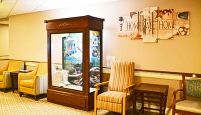 Common area with a cozy atmosphere and aquarium