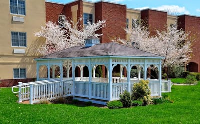 A gazebo surrounded by cherry blossom trees in a garden