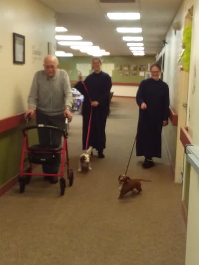 Residents walking dogs in a hallway