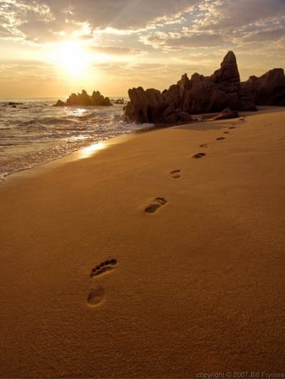 Footprints on a sandy beach at sunset
